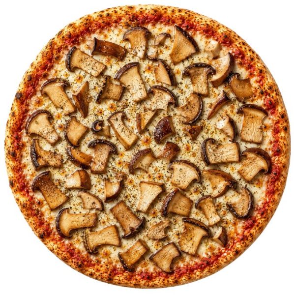 Pizza Porcini 676 x 676 px)